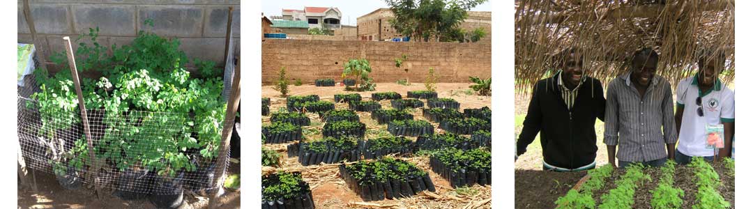 Nursery