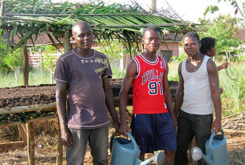 Togo-nursery-platform-2014