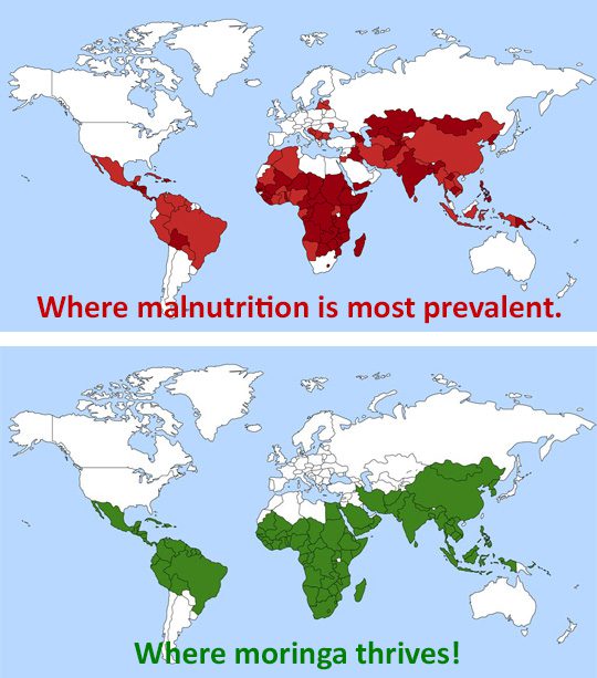 Maps---Malnutrition-and-Moringa